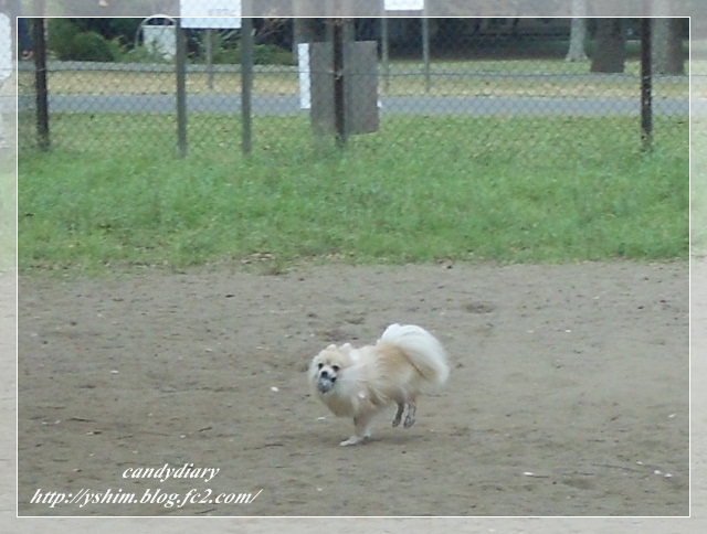DSCN4259 (640x484)-018