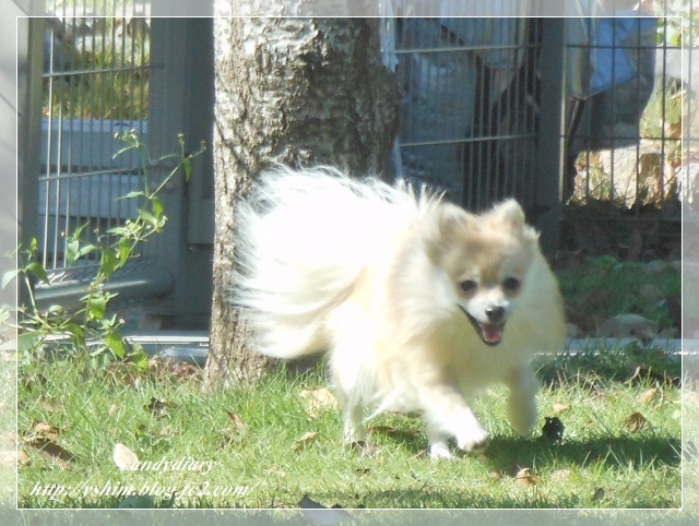 DSCN4537 (640x482)-009