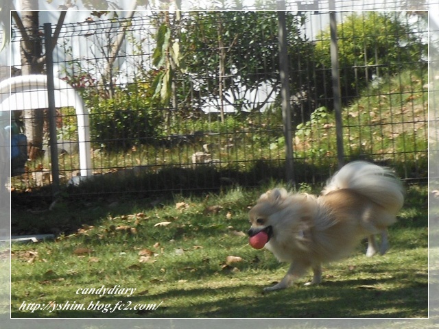 DSCN4504 (640x480)-002
