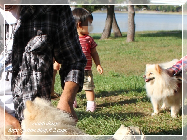 IMG_2231 (640x479)-014