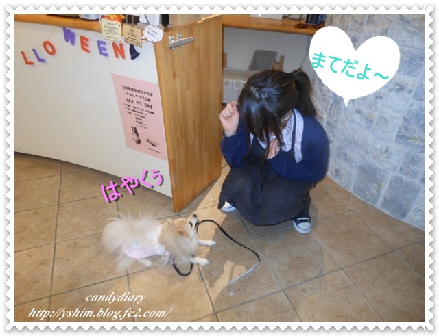 DSCN4885 (640x480)-003