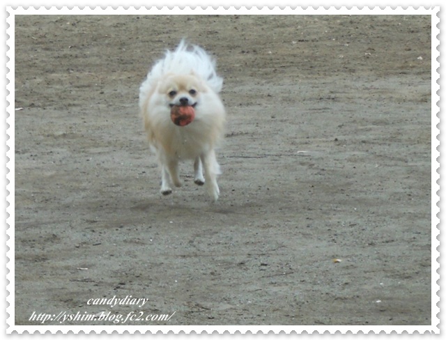 DSCN4982 (640x477)-027