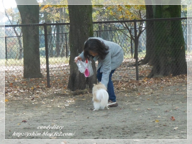DSCN5496 (640x481)-003