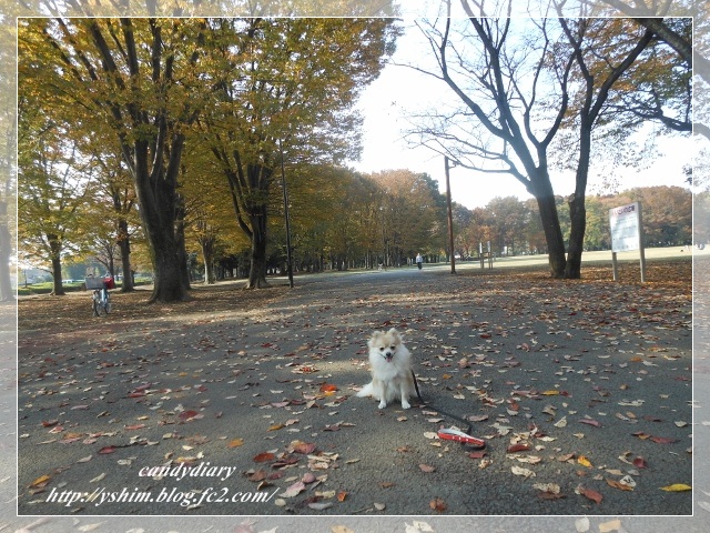 DSCN5532 (640x480)-011