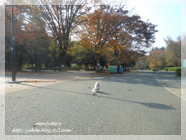 DSCN5526 (640x480)-009