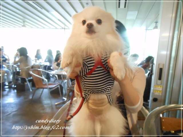 DSCN5707 (640x480)-005