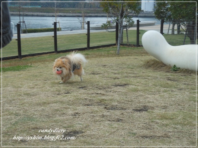 DSCN6053 (640x480)-006