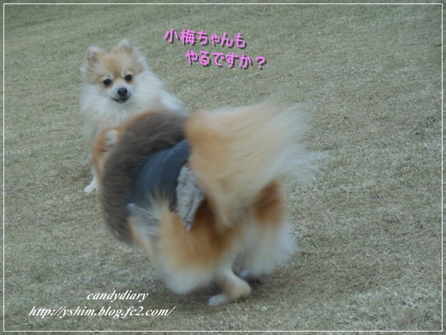 DSCN6043 (640x480)-003