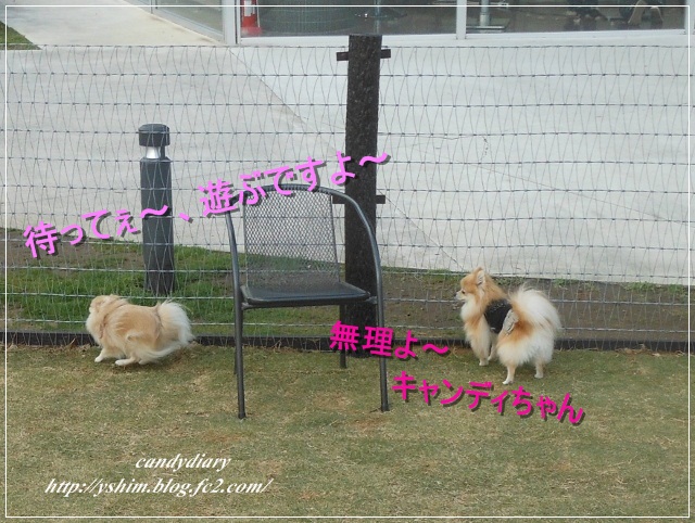 DSCN6105 (640x482) (2)-003