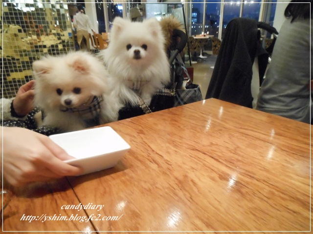 DSCN6224 (640x480)-006