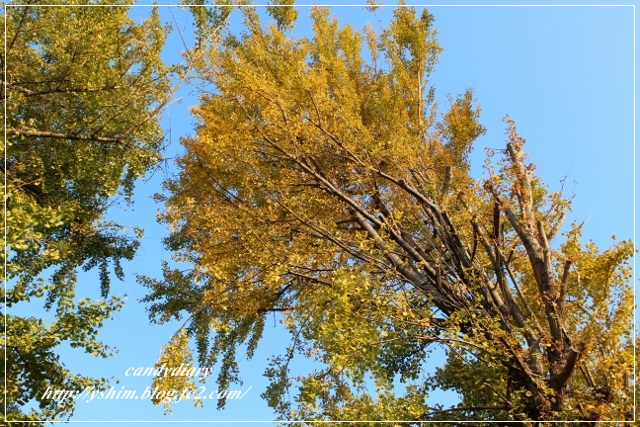 IMG_0015 (640x427)-003