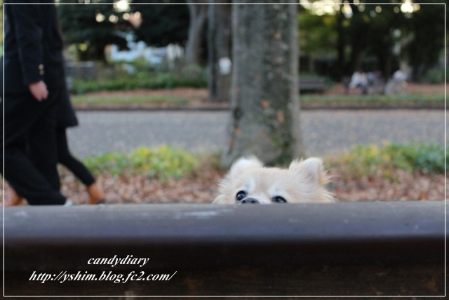 IMG_0028 (640x427)-011