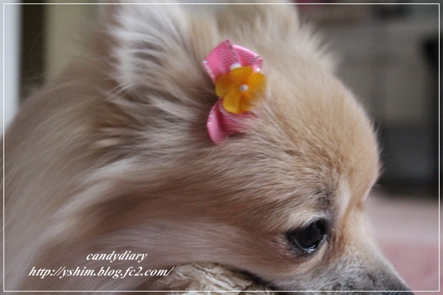 IMG_0094 (640x427)-009