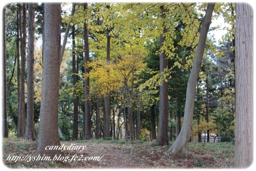 IMG_6734 (640x427)-002