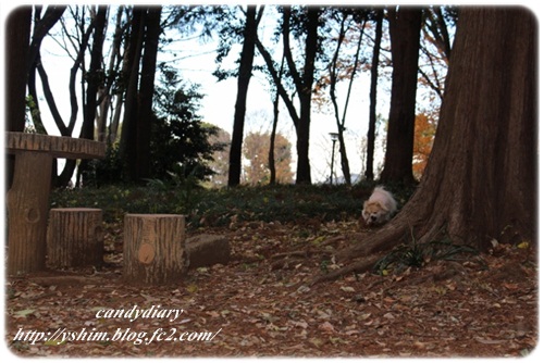 IMG_6737 (640x427)-005