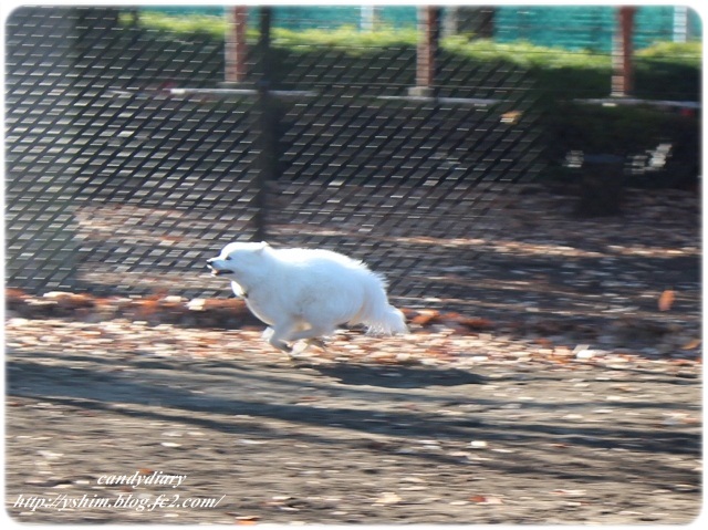 IMG_6861 (640x479)-025