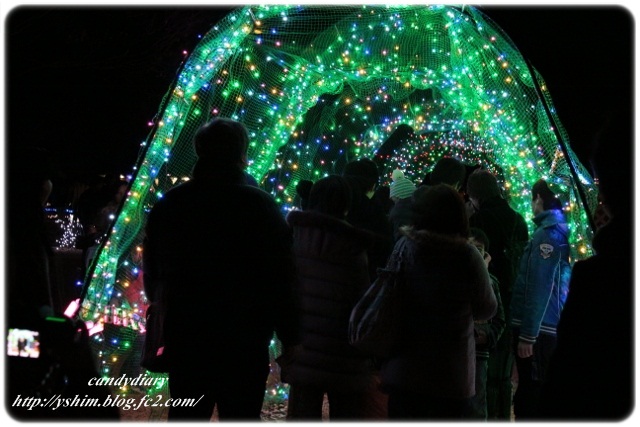 IMG_6986 (640x427)-011