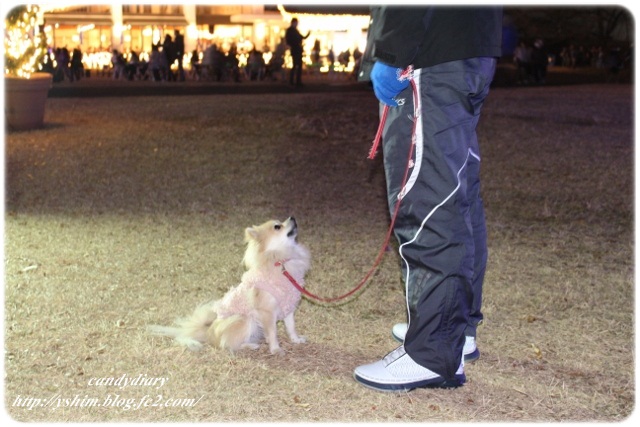 IMG_6990 (640x427)-013