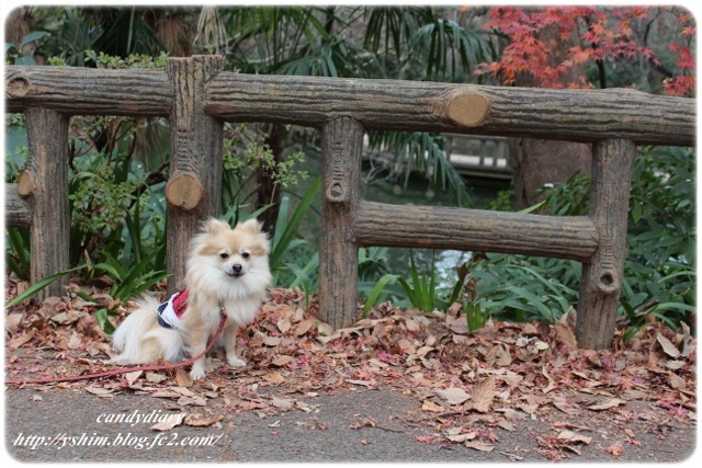 IMG_7108 (640x427)-021