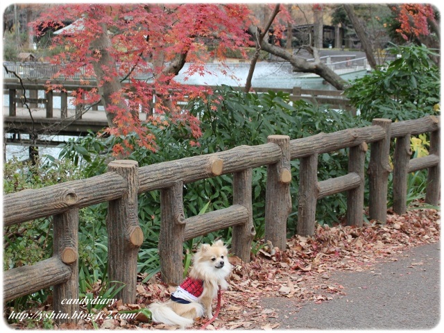 IMG_7111 (640x480)-022