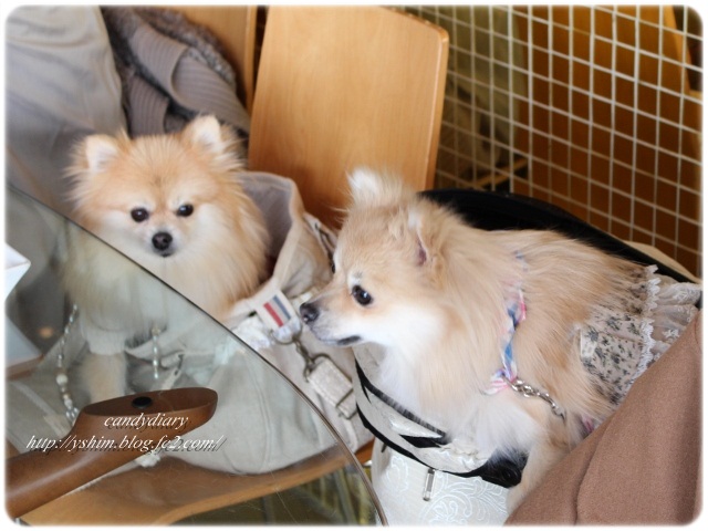 IMG_7231 (640x480)-009