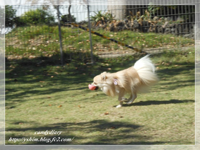 DSCN4512-005.jpg