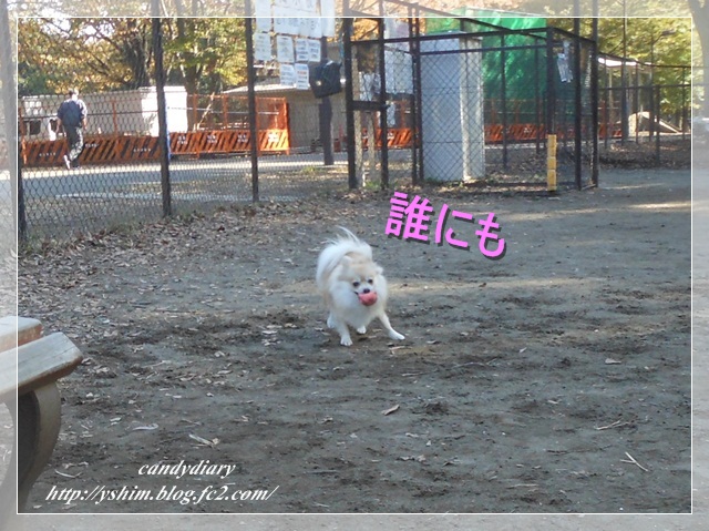 DSCN5387-001.jpg