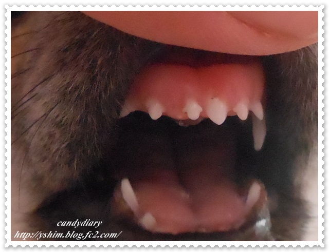 RSCN0818-001.jpg