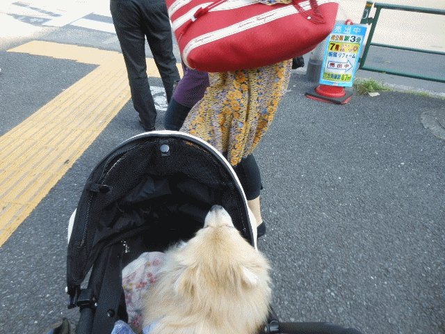 anigif_20120709183549.gif