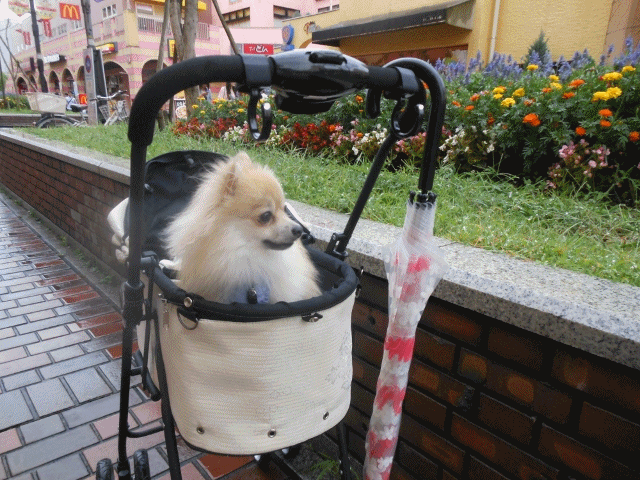 anigif_20120806220235.gif