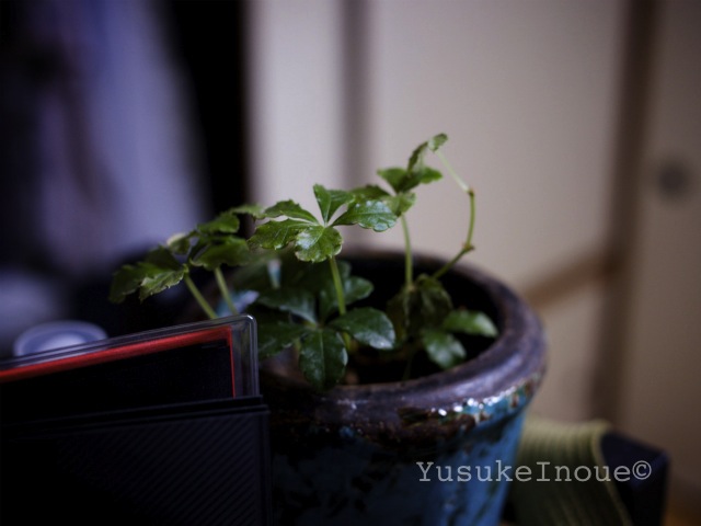 R0024737_20120705153757.jpg