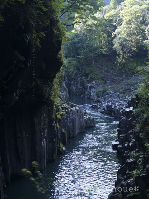 R0024863.jpg