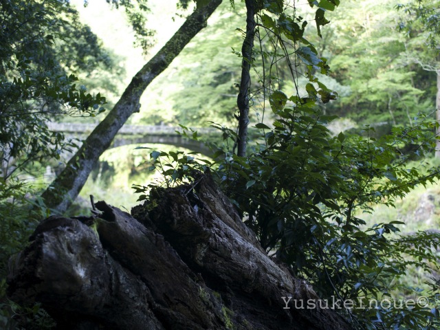 R0024874.jpg