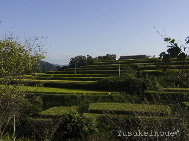 R0024889.jpg