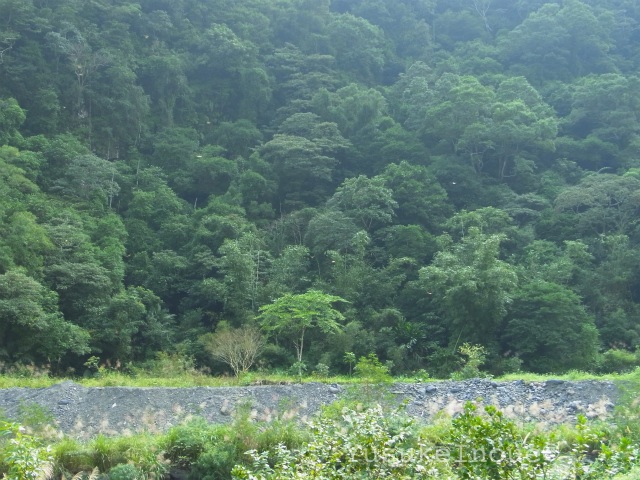R0025608.jpg