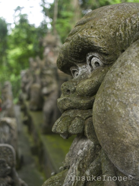 R0025761.jpg