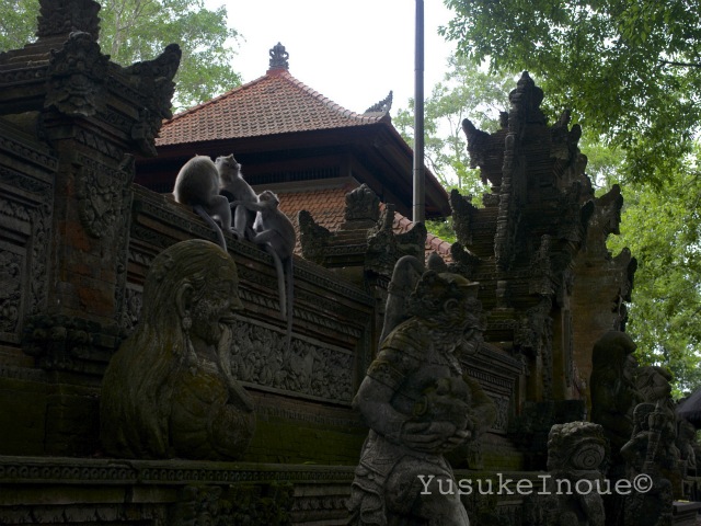 R0025768.jpg