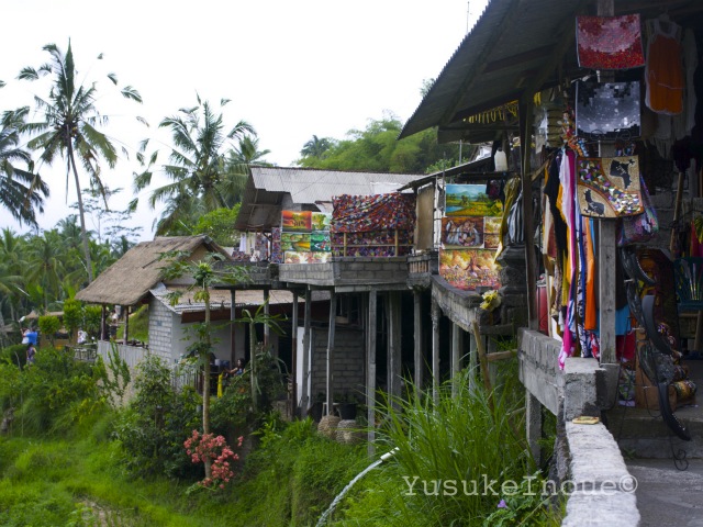 R0025793.jpg