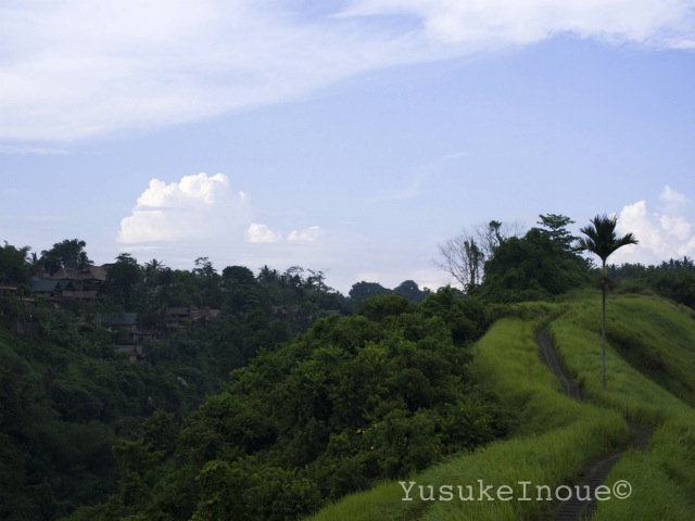 R0025948.jpg
