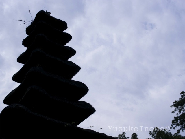 R0025955.jpg
