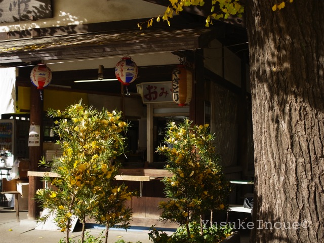 R0026043.jpg