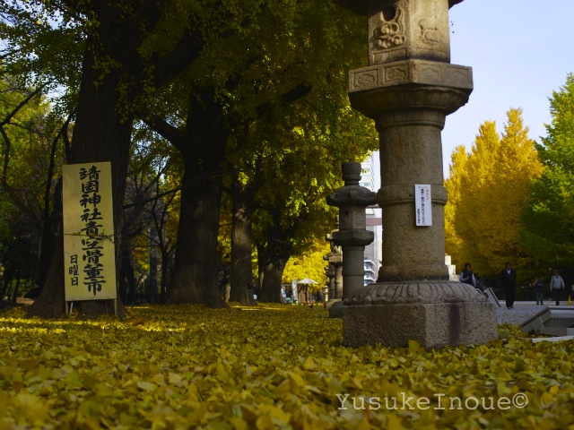 R0026045.jpg