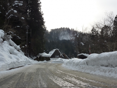 P1120265.jpg