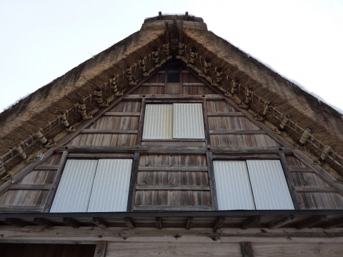 P1120278.jpg