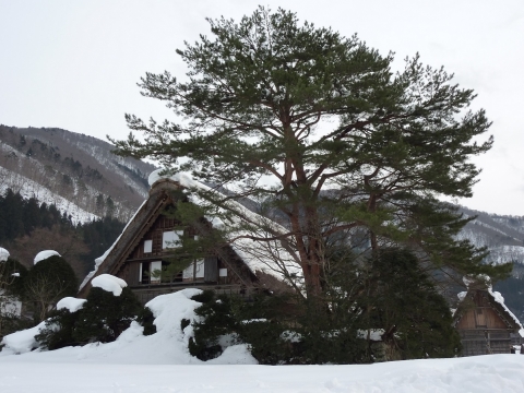 P1120329.jpg