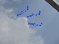 03_20120509105357.jpg