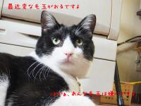 03_20120919113329.jpg