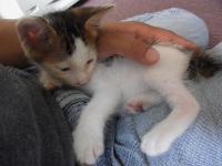 03_20121018152636.jpg