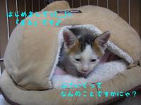 04_20120919113329.jpg