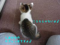 05_20120919113328.jpg